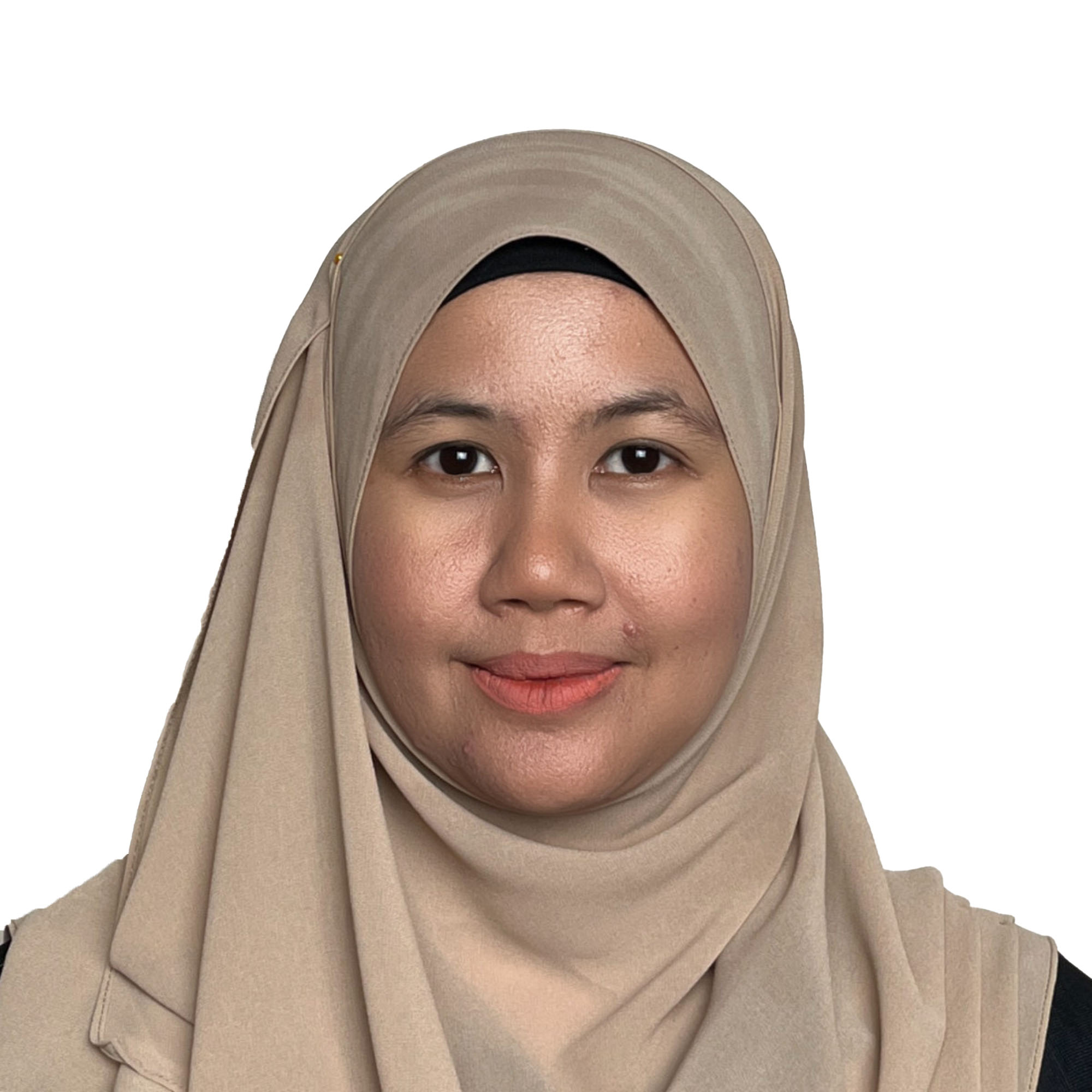 NOORSALIZA BINTI ABDUL HAMID
